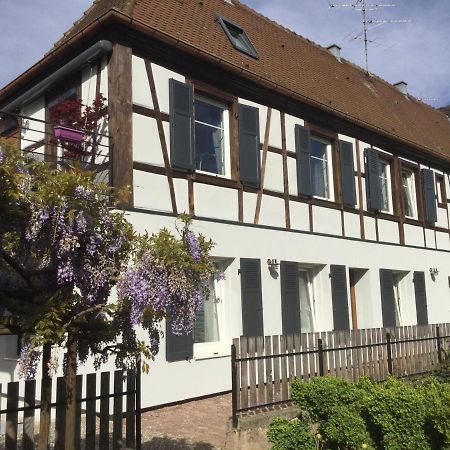 Gite Cote Jardin Ingersheim Eksteriør billede