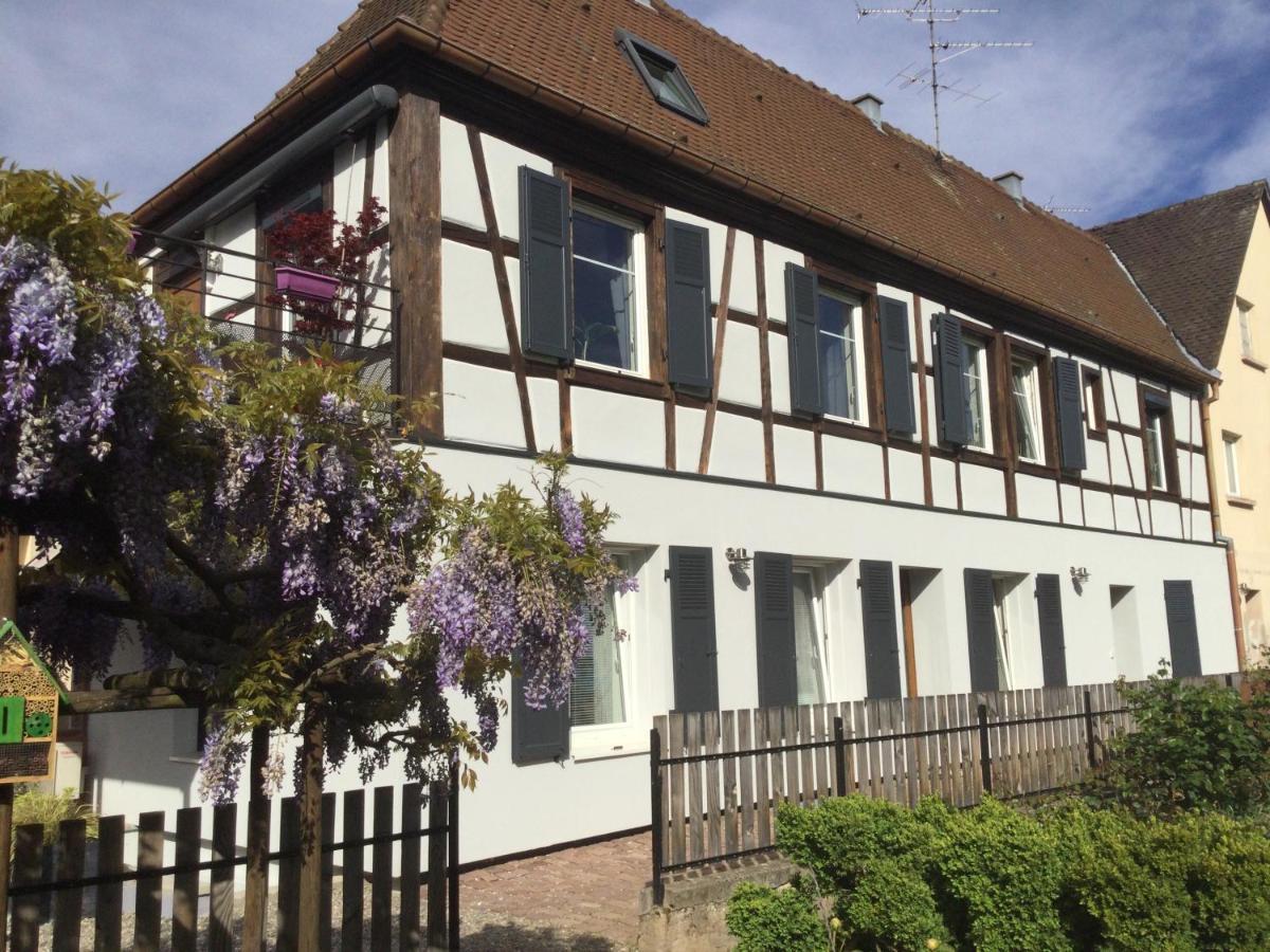 Gite Cote Jardin Ingersheim Eksteriør billede