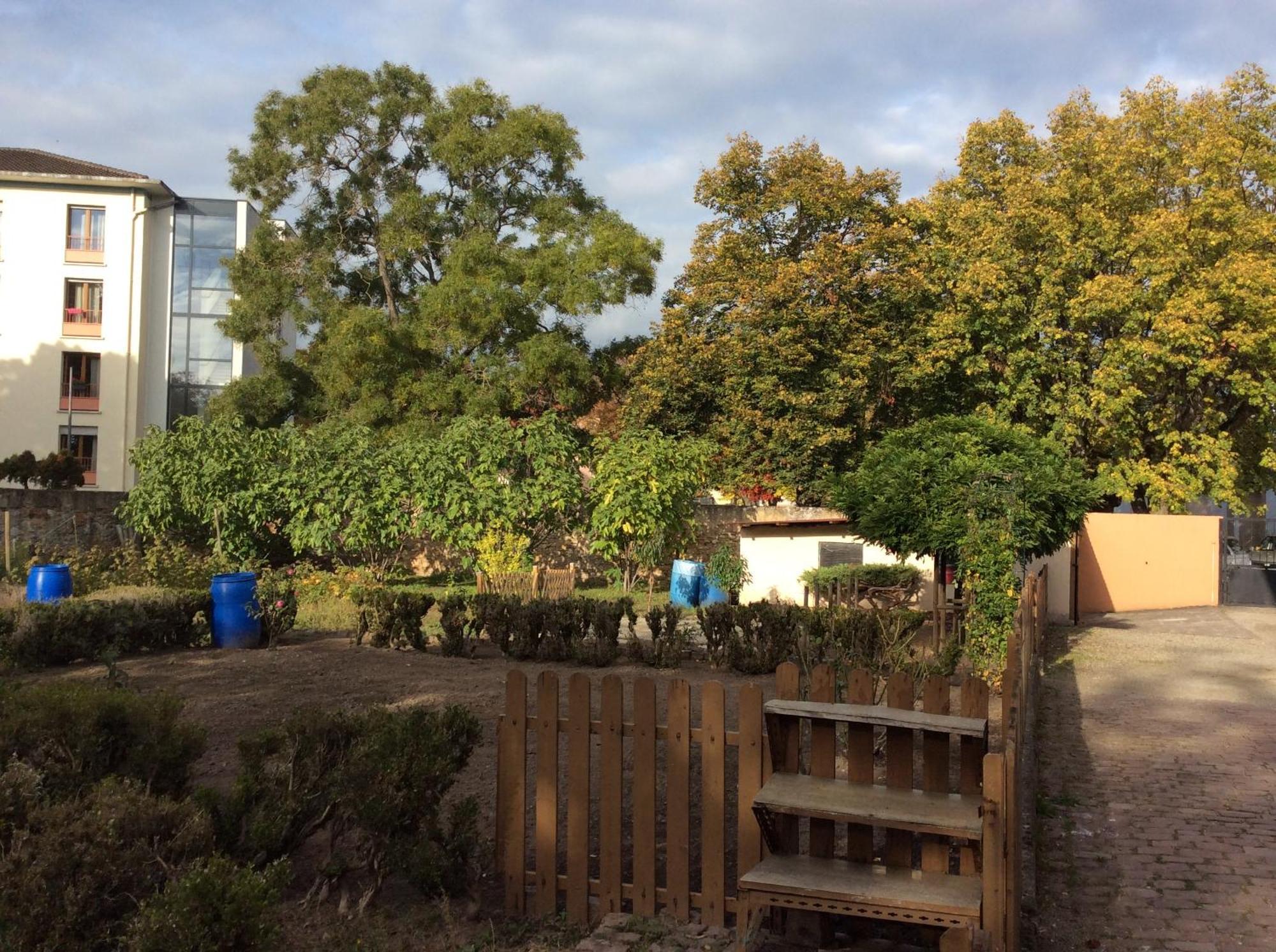 Gite Cote Jardin Ingersheim Eksteriør billede
